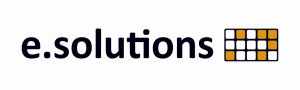 e.solutions - customer